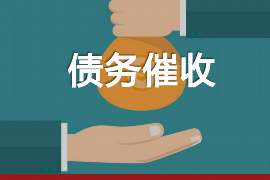 新邱如何避免债务纠纷？专业追讨公司教您应对之策