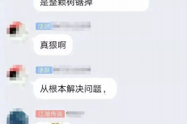 新邱为什么选择专业追讨公司来处理您的债务纠纷？